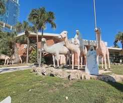 Hotel Sahara Beach Club