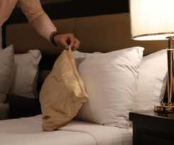  Mokhtara International