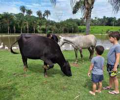 Fazenda Igarapés