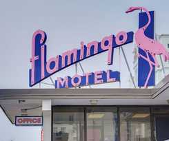Hotel Flamingo Motel