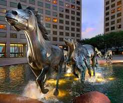 Hotel Hilton Garden Inn Dfw Airport South