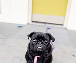 Hotel Nexus, Bw Signature Collection