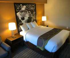 Hotel Super 8 by Wyndham Lynnwood