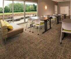  SpringHill Suites By Marriott Frederick