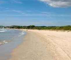 Las Palmeras