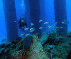  Bungalows On The Bay