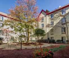 Hotel voco The Darwin - Atlanta Midtown by IHG