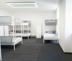  Wild Elephants Hostel