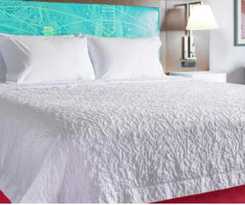 Hotel Hampton Inn & Suites Huntington Downtown, Ny