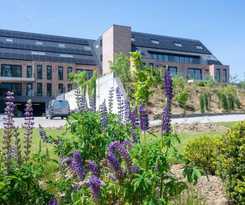  Flanders Cobblestone Paradise