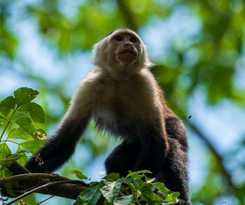  The Valley Tayrona Hostel -A unique nature experience