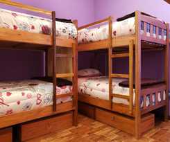  SAINT PETER\'S LLAMA HOSTAL