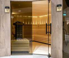 Hotel Roman Maramures