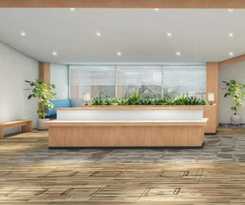  Miharashinoyado Fronden