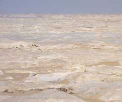 Hotel Western Desert & Safari