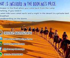  Moda Camp Merzouga - Camel Quad Sunboarding ATV