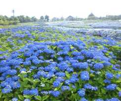  Kuwana Park Hotel - Vacation STAY 66850v