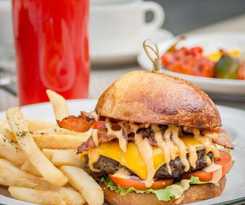  The Funny Lion - El Nido