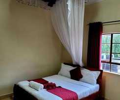  Museum View Hotel