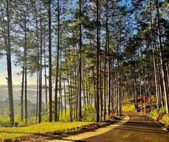  Omirita Resort Dalat