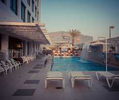 Brown Eilat