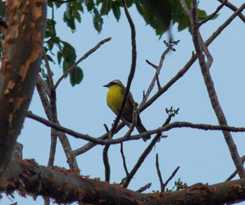  TAYRONA HOSTEL SM
