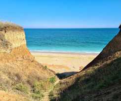 Hotel Guest Rooms Wild Duck