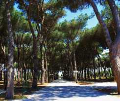 Hotel La Pineta Dei Liberti