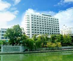 Guilin Osmanthus