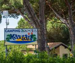  Village Camping Hawaii