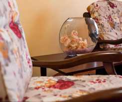 Hotel Monte Carlo Reghin