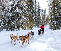 Hotel Laplands Bear&acute;s Lodge