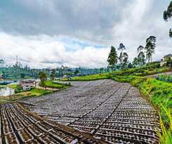 Hotel OYO 92217 Artana 2 Chipsari