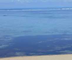 Hotel Bedarra Beach Inn