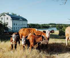 Hotel Wallby S&auml;teri