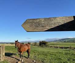 Hotel The Plough Inn