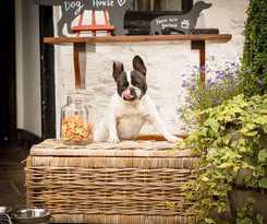 Hotel The Greyhound Inn and