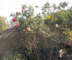  Hotel Villa dei Butteri