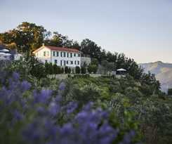 Hotel Il Leccio Luxury Resort