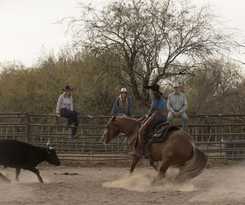 Hotel Kay El Bar Guest Ranch