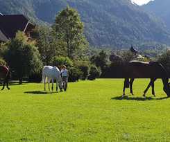 Hotel Gutshof Wolfgangsee Resort and Event