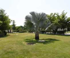 Hotel The Desert Den - Little Rann of Kutch