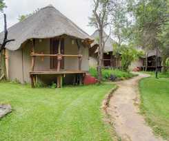  Warthogs Bush Lodge