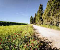  Agriturismo Bio San Mamiliano