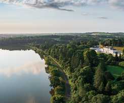  The Forest at Mount Congreve Gardens