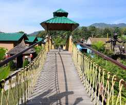 Hotel Jungle Resort