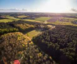 Hotel Sherwood Forest Golden Oak