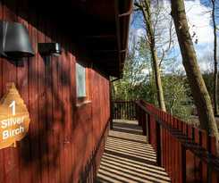 Hotel Blackwood Forest Silver Birch Wheelchair Accessible Cabin