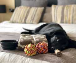 Hotel The Ashleigh - Dog Friendly