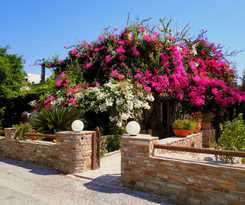  Dimitra Studios
